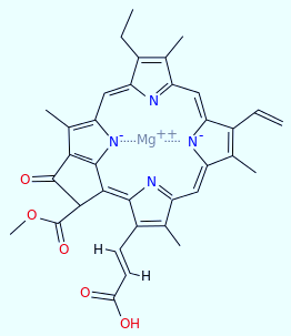 Molecular structure of chlorophyll c1 