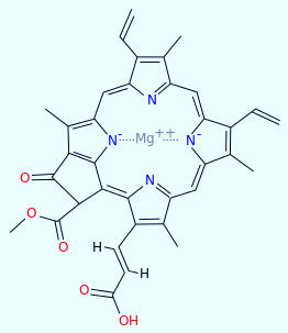 Molecular structure of chlorophyll c2 