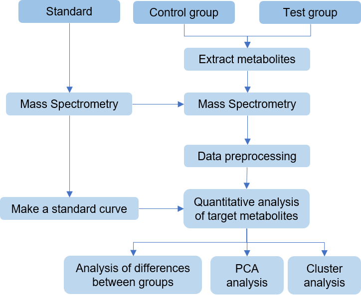 Workflow of targeted metabolomics of chlorophyll d