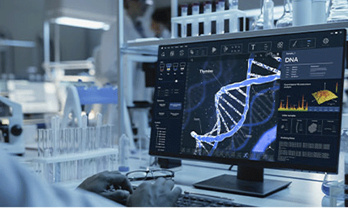 Plant Metabolomics Services