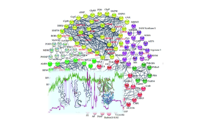 Bioinformatics and systems biological
