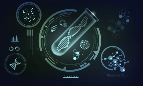 Plant Metabolomics Services