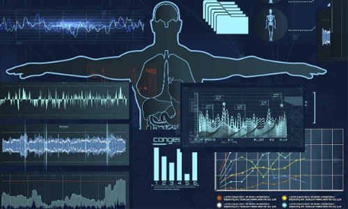 Animal Metabolomics Analysis