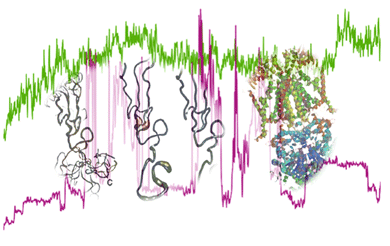 Carotenoid Analysis Service