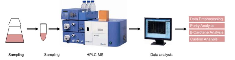 β-Carotene analysis service workflow.