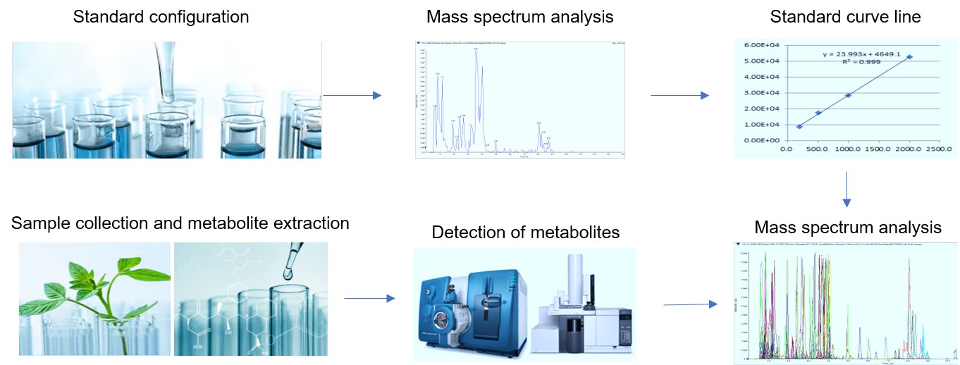 Carotenoids Analysis Service