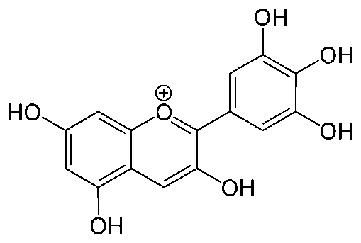 The molecular structure of delphinidin