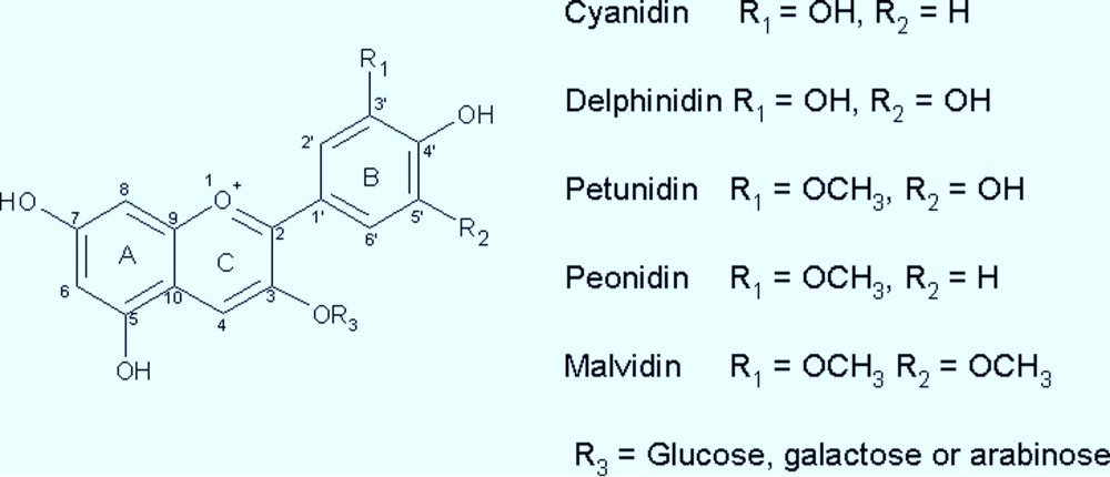  The molecular structure of anthocyanins