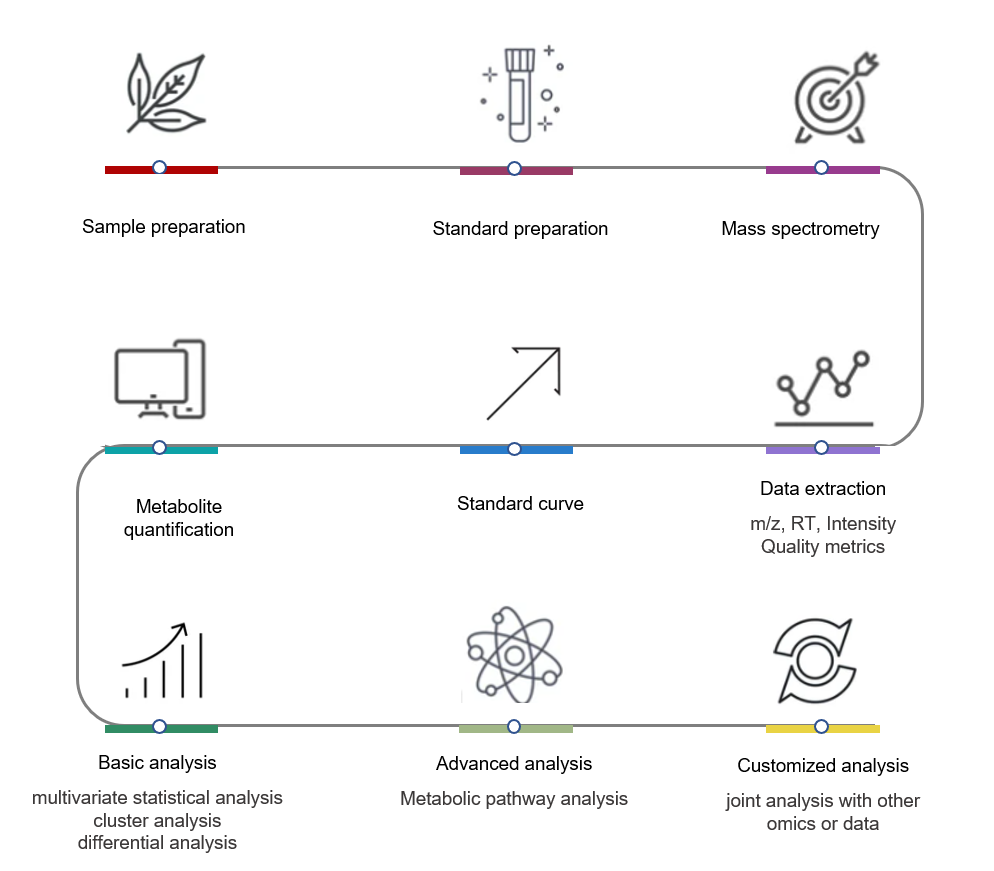 Workflow of targeted metabolomics service of berberine