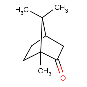 The molecular structure of (R)-Camphor