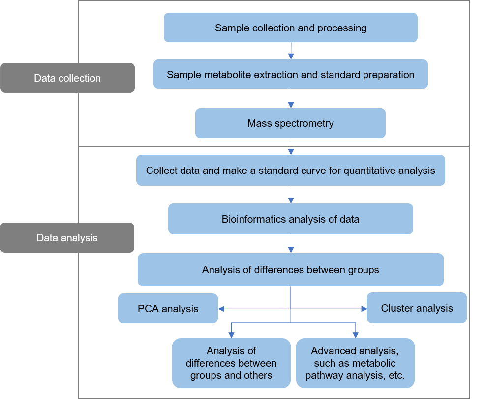 The technical route of targeted metabolomics of (R)-camphor
