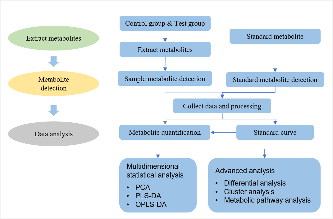 The technical route of targeted metabolomics of germacrone 