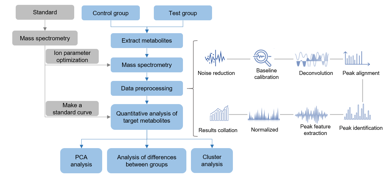The technical route of targeted metabolomics of phytol