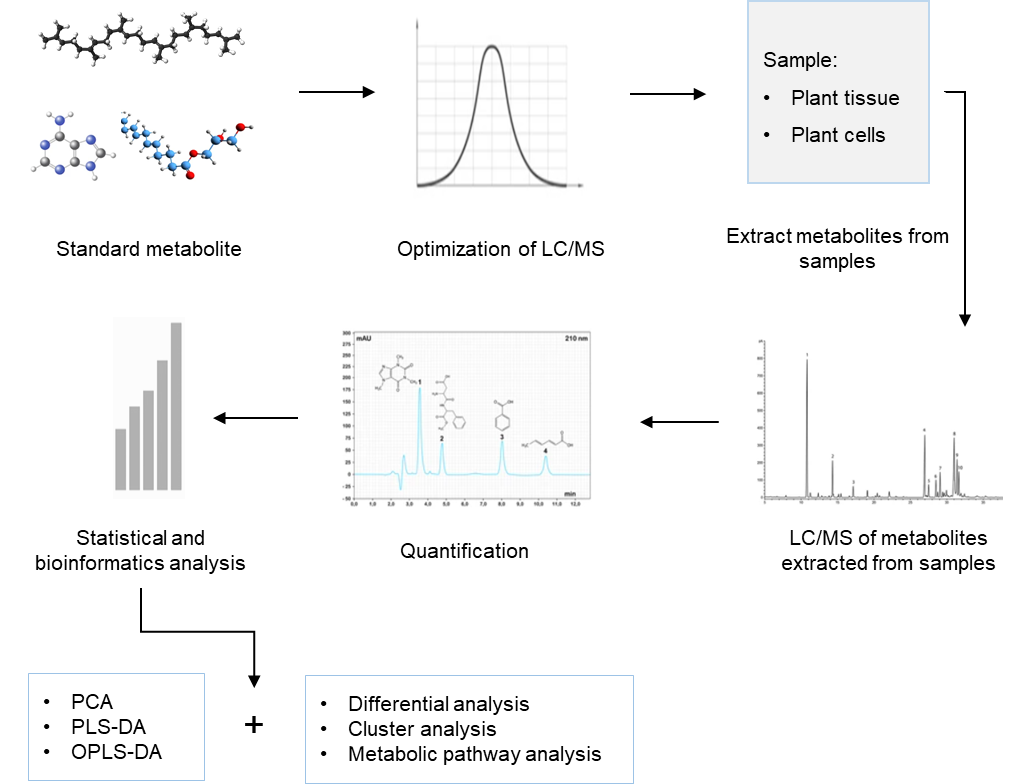 The technical route of targeted metabolomics of lutein