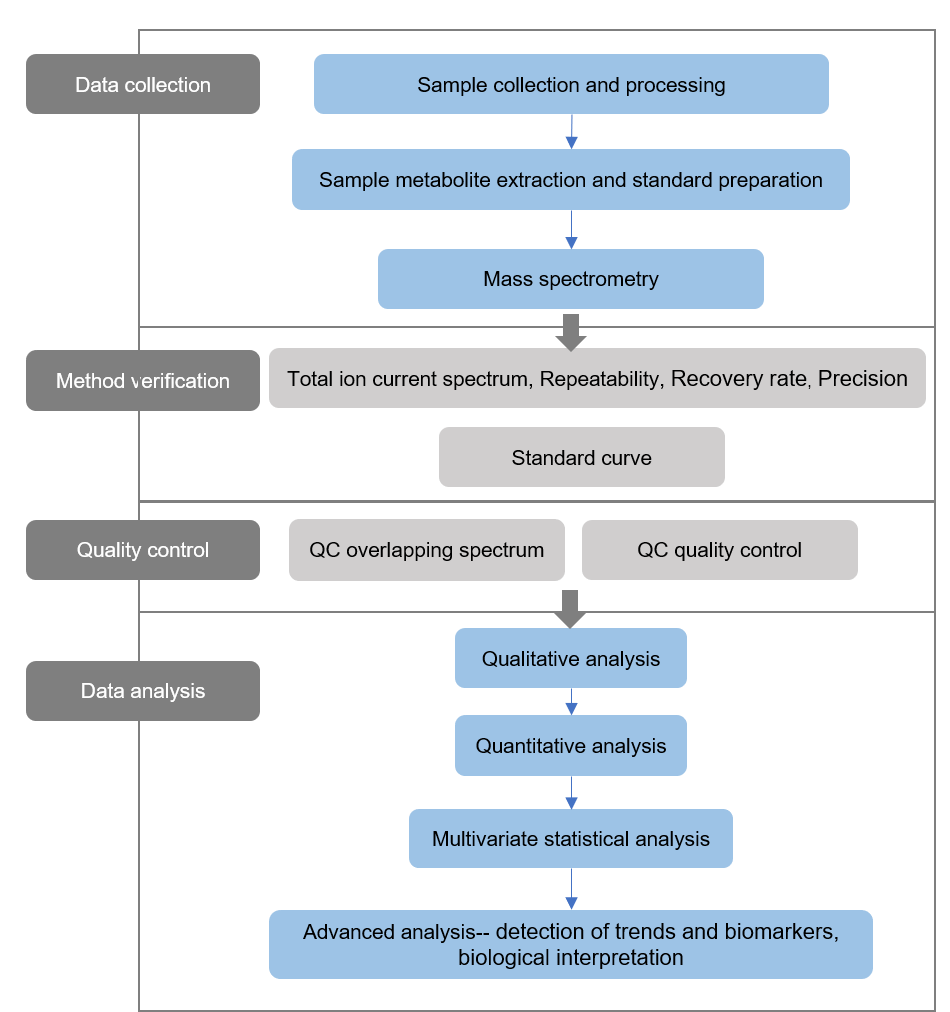 The technical route of targeted metabolomics of concanavalin (ConA)