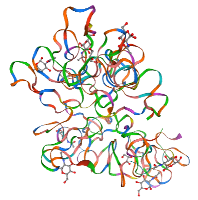 Schematic diagram of WGA structure 