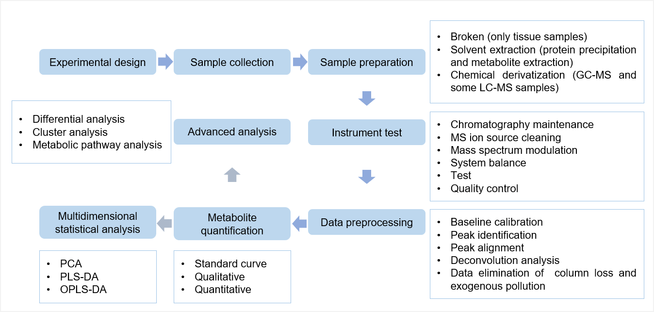 The technical route of targeted metabolomics of peanut agglutinin (PNA)