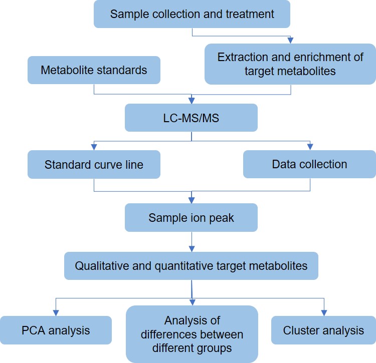 The technical route of targeted metabolomics of soybean agglutinin (SBA)