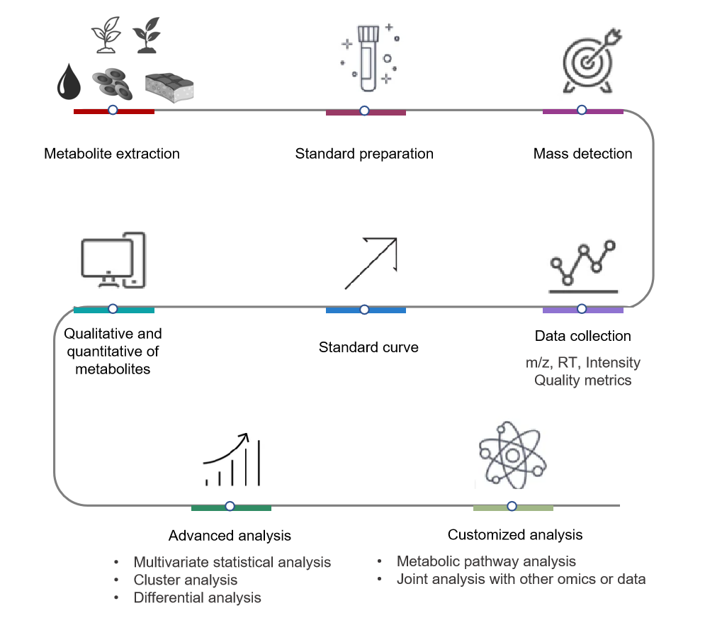 Technical Route of Targeted Metabolomics of Lactic Acid