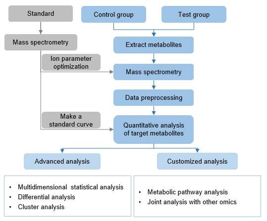 Technical Route of Targeted Metabolomics of Maleic Acid