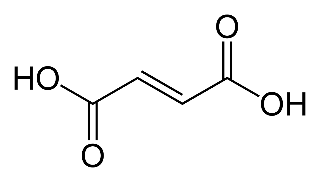 Molecular structure of fumaric acid