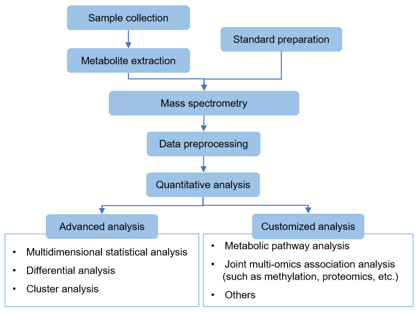 Technical Route of Targeted Metabolomics of Glutaric Acid