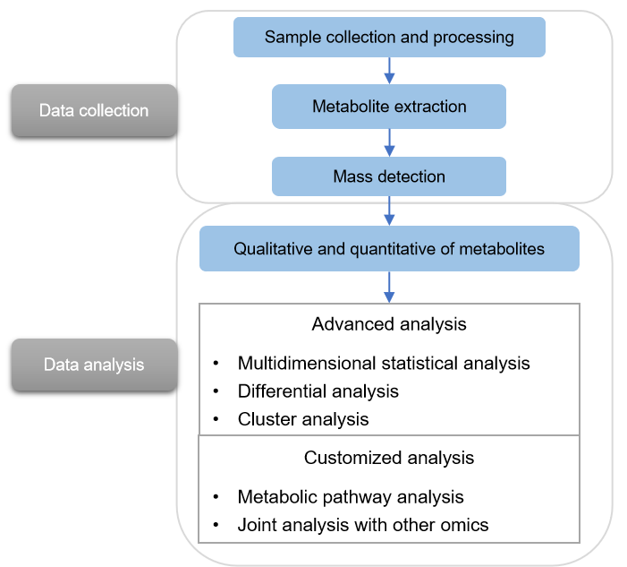 Technical Route of Targeted Metabolomics of Fructose-6-phosphate