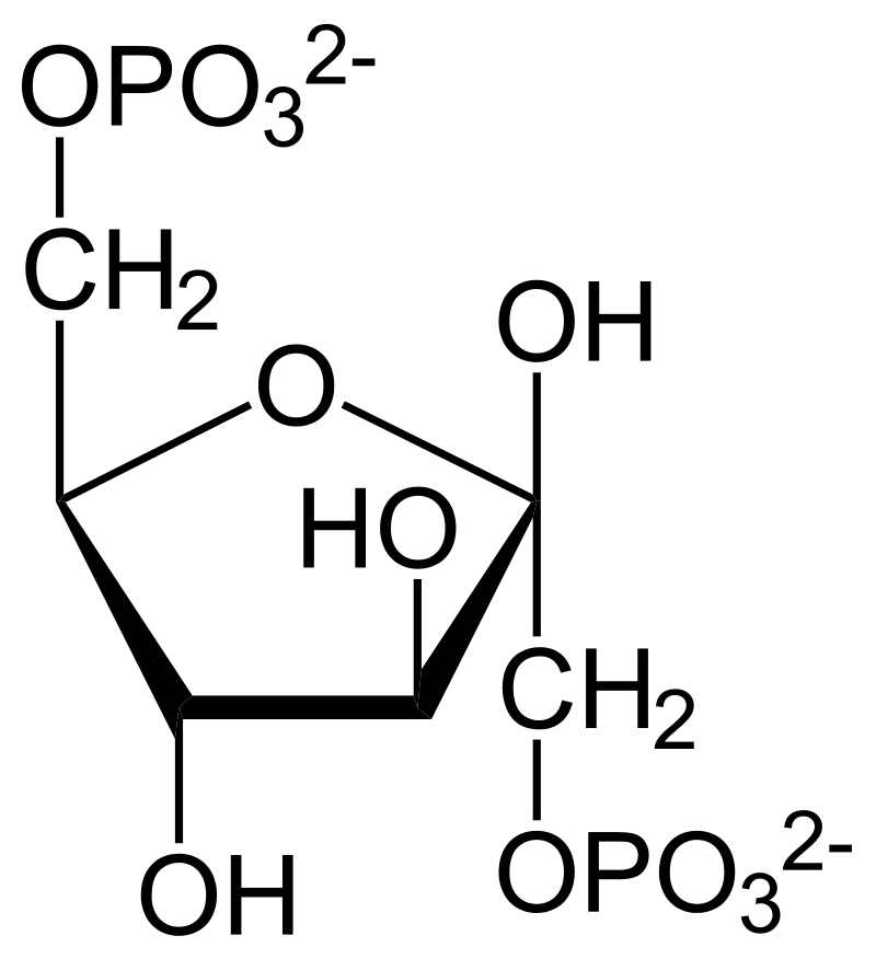 Molecular structure of fructose 1,6-bisphosphate