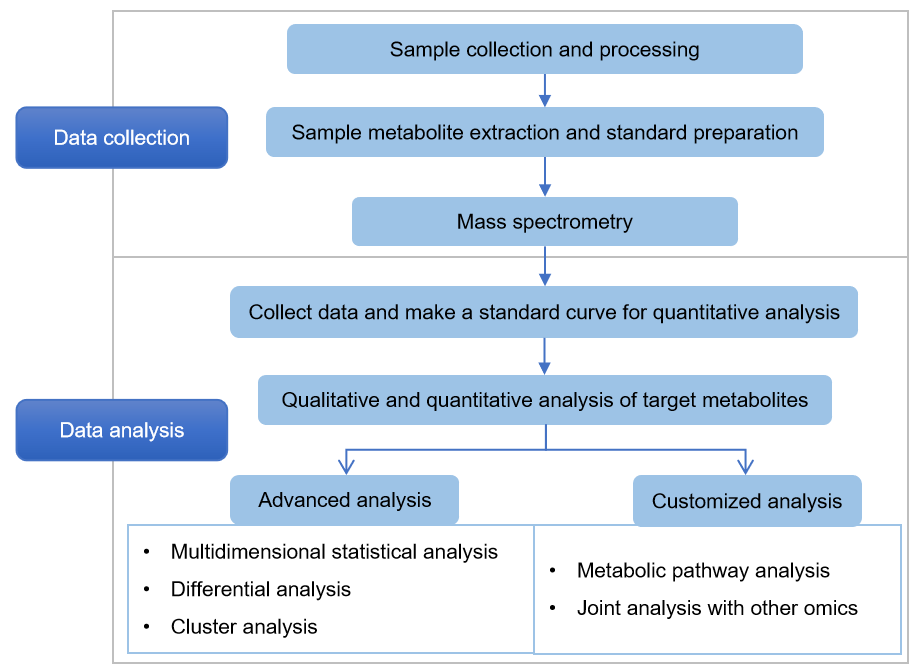 Technical Route of Targeted Metabolomics of Fructose 1,6-bisphosphate