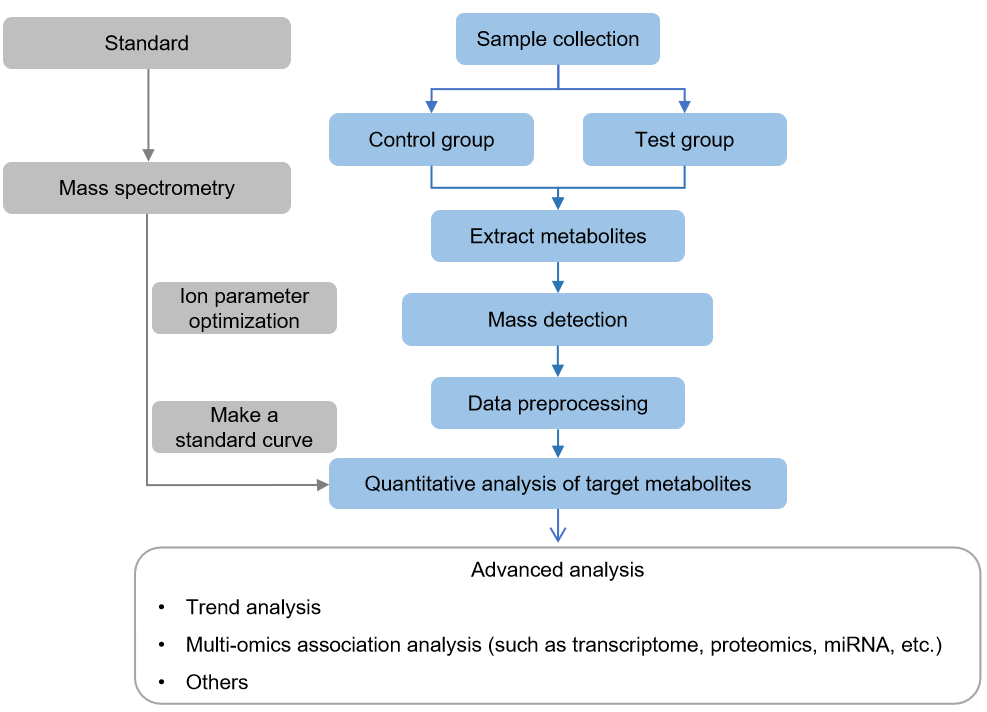 Technical Route of Targeted Metabolomics of Glucose