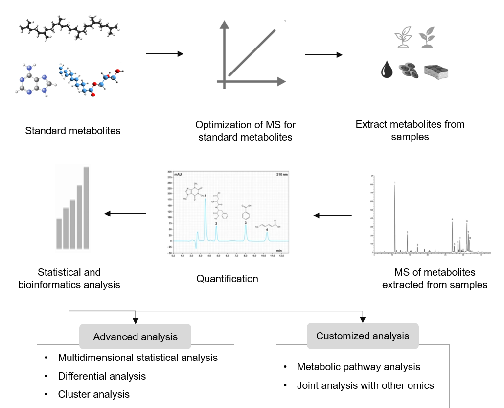 Technical Route of Targeted Metabolomics of 2-phosphoglycerate