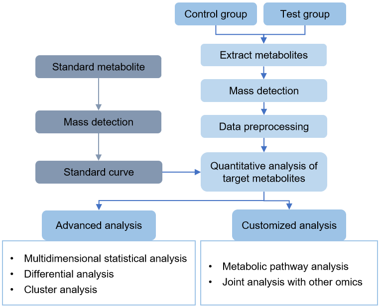 Technical Route of Targeted Metabolomics of 3-phosphoglycerate