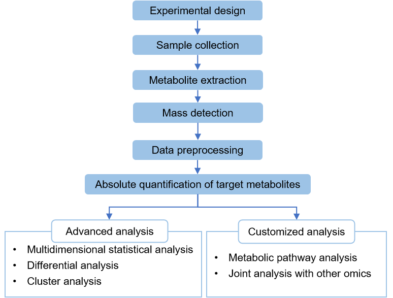Technical Route of Targeted Metabolomics of 1,3-bisphosphoglyceric Acid