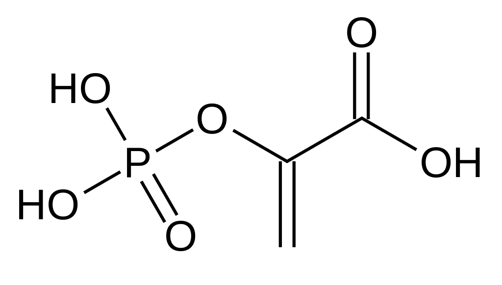 Molecular structure of phosphoenolpyruvate