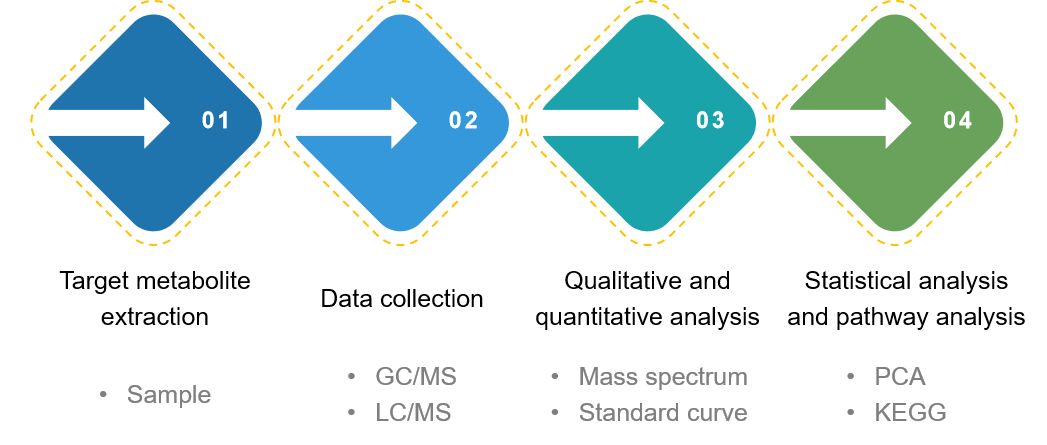 Technical Route of Targeted Metabolomics of Adenosine Monophosphate