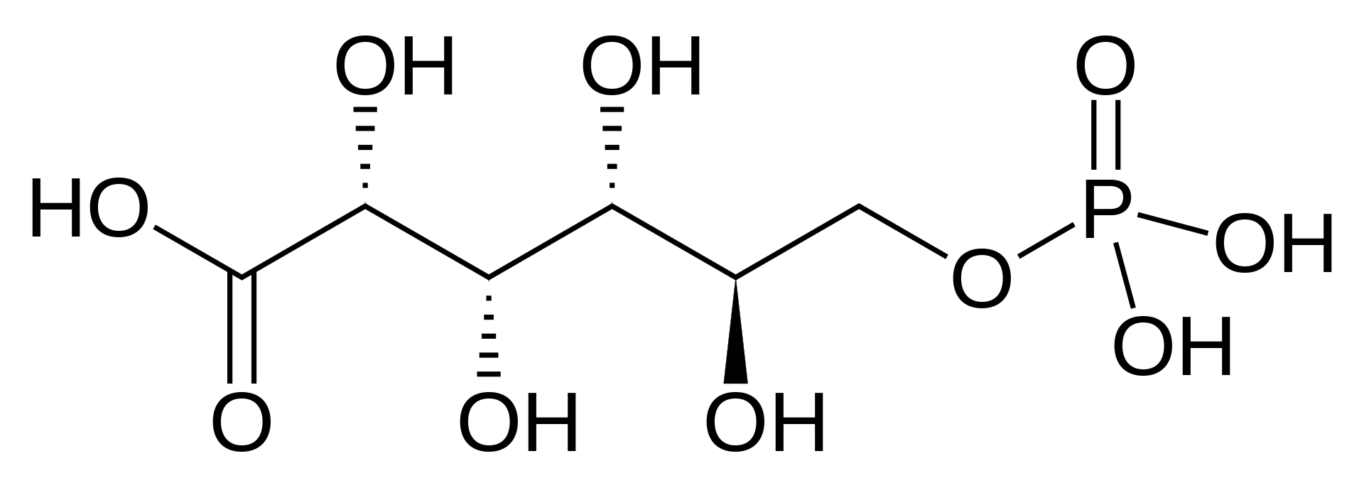Molecular structure of 6-phosphogluconic acid