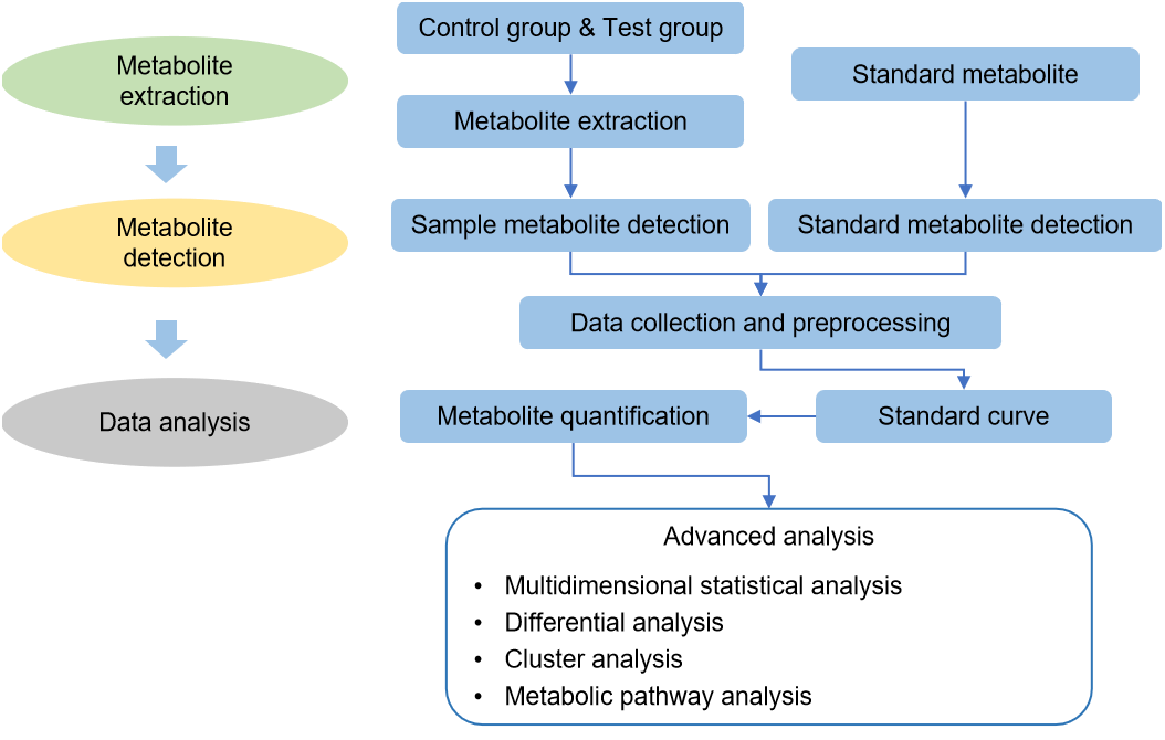 Technical Route of Targeted Metabolomics of 6-phosphogluconic Acid