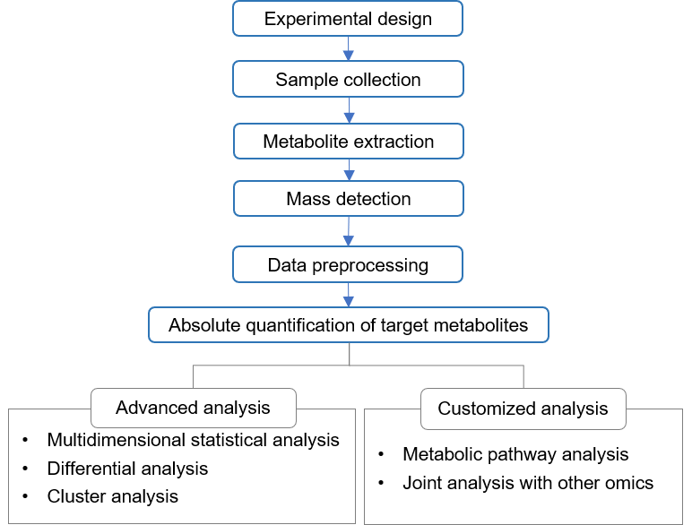 Technical Route of Targeted Metabolomics of 3-indolepropionic Acid