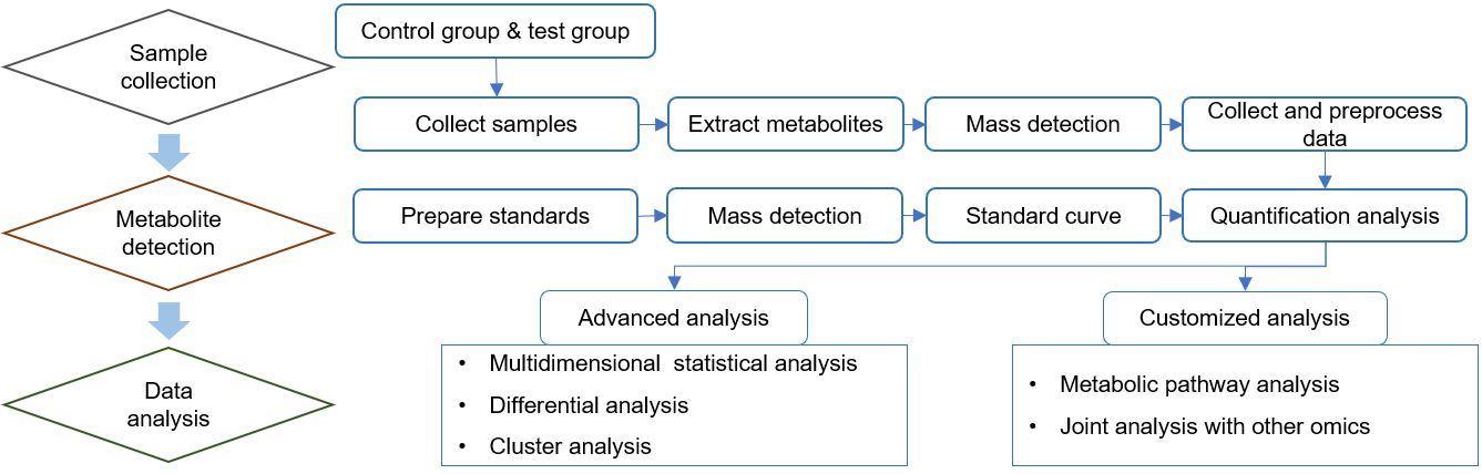 Technical Route of Targeted Metabolomics of Glucoraphanin (4-methylsulfinylbutyl Glucosinolate)