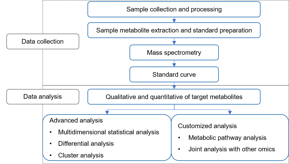 Technical Workflow of Targeted Metabolomics of Sulforaphane