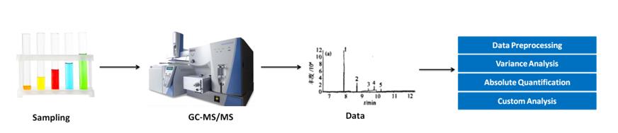 Acenocoumarol analysis service workflow