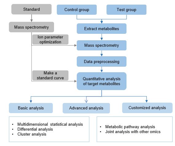 The technical route of targeted metabolomics of aflatoxin