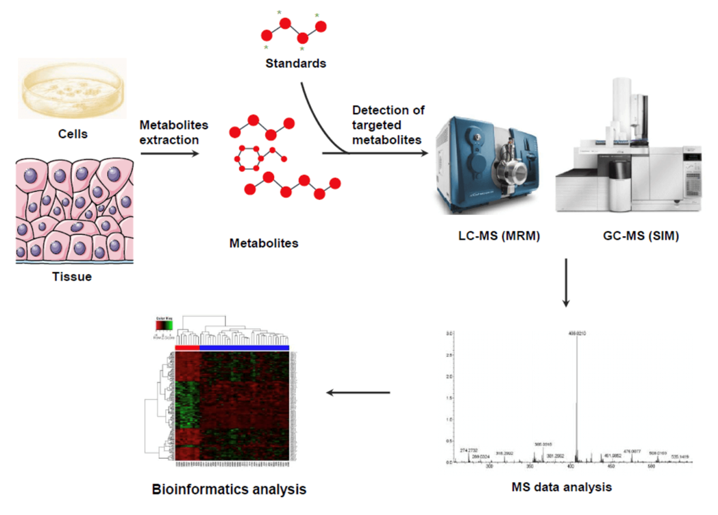 Animal-Targeted-Metabolomics-Service.png Animal-Targeted-Metabolomics-Service.png