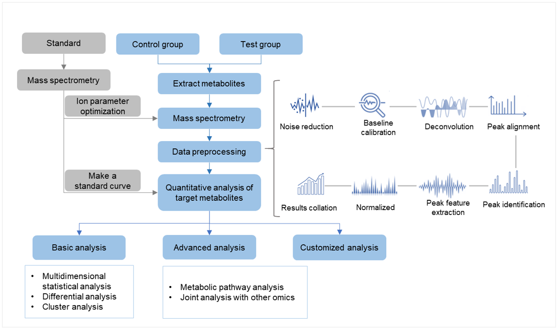 Workflow of targeted metabolomics service of arecoline