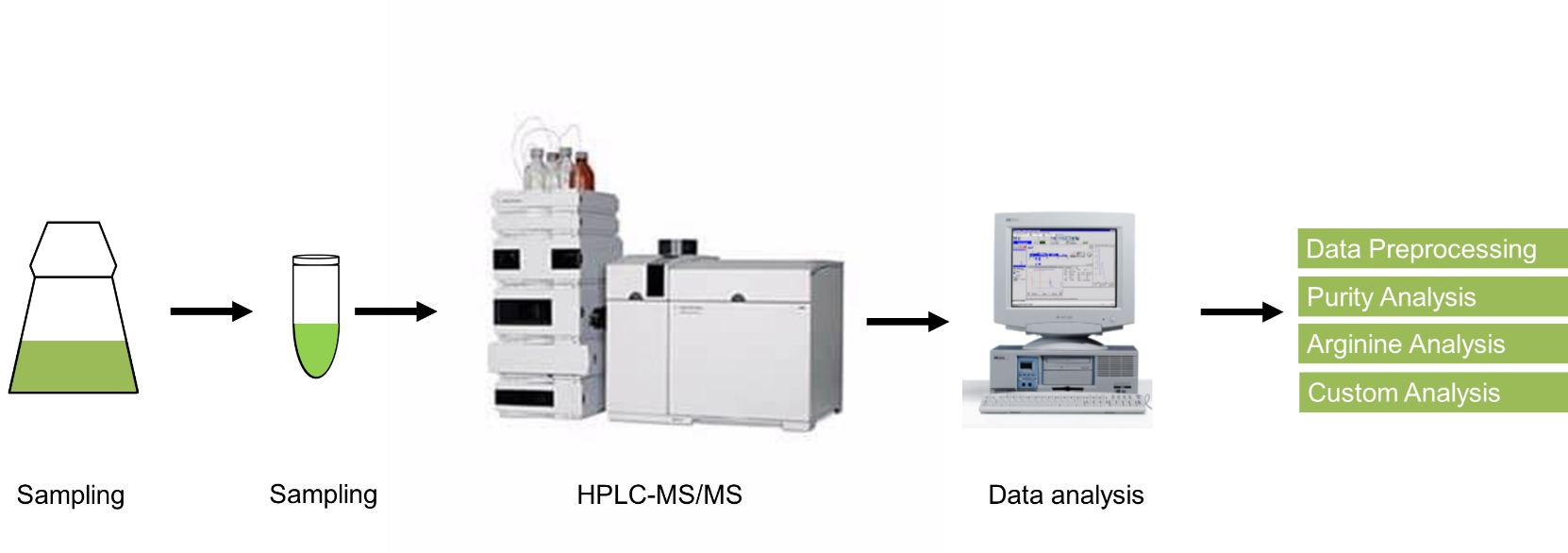 Arginine analysis service workflow.