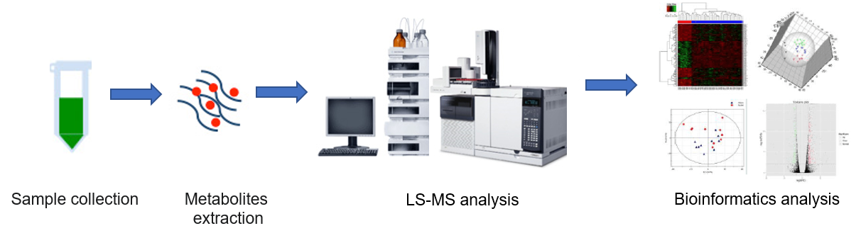 Ascorbate and Aldarate Metabolism