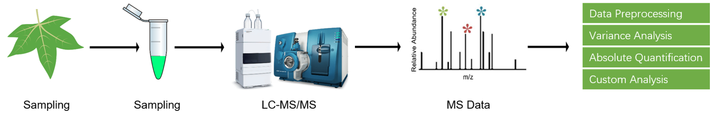 Auxin analysis service workflow.