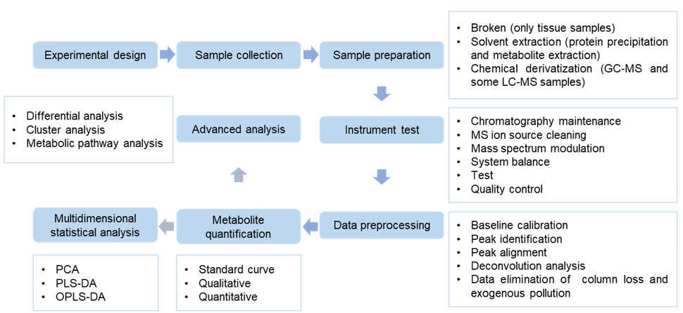 Catechin analysis service workflow
