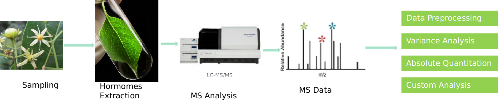 Cinnamic acid analysis service workflow