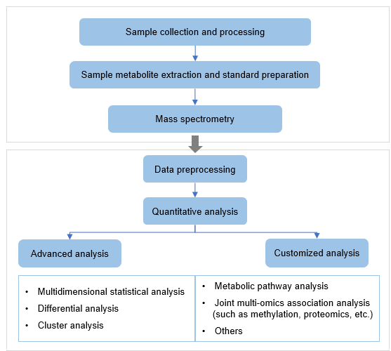 Technical Route of Targeted Metabolomics of Citric Acid
